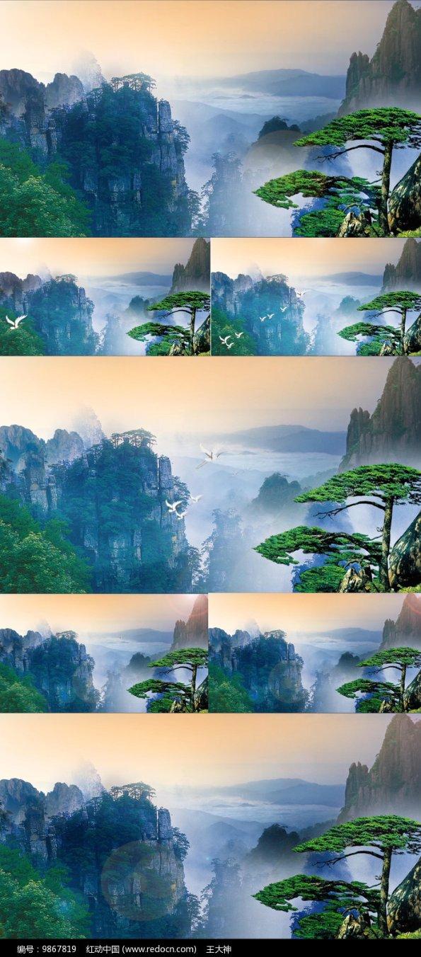 逗小猴开心系列209